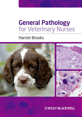 General Pathology for Veterinary Nurses. Harriet  Brooks