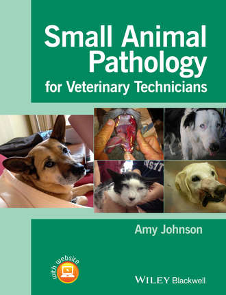Amy  Johnson. Small Animal Pathology for Veterinary Technicians