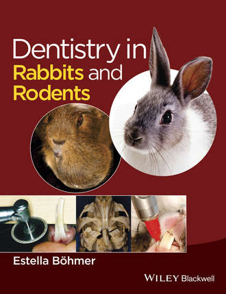 Estella B?hmer. Dentistry in Rabbits and Rodents