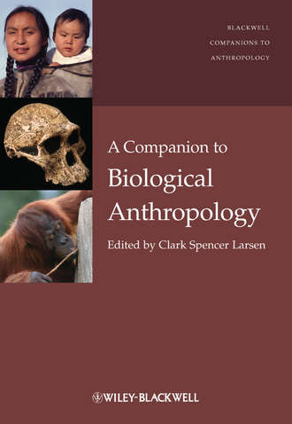 Clark Larsen Spencer. A Companion to Biological Anthropology