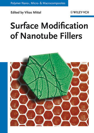 Vikas  Mittal. Surface Modification of Nanotube Fillers