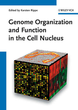 Karsten  Rippe. Genome Organization And Function In The Cell Nucleus