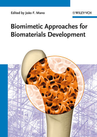 Joao Mano F.. Biomimetic Approaches for Biomaterials Development