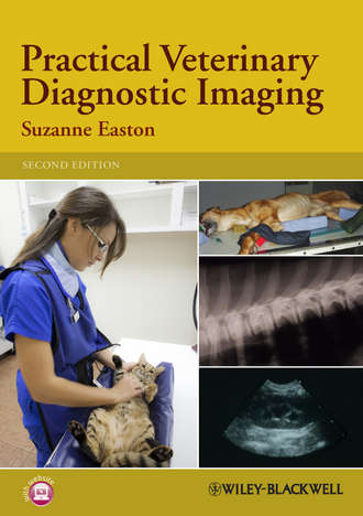 Suzanne  Easton. Practical Veterinary Diagnostic Imaging