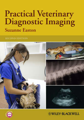 Practical Veterinary Diagnostic Imaging. Suzanne  Easton