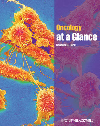 Graham Dark G.. Oncology at a Glance