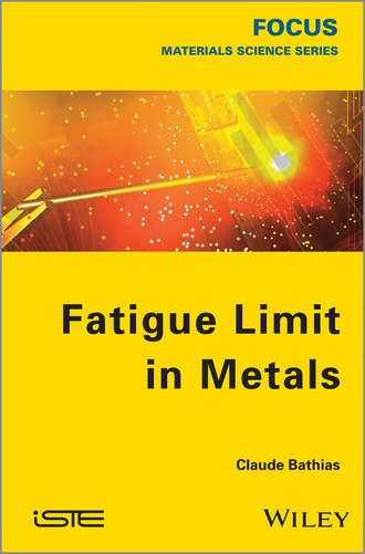 Fatigue Limit in Metals. Claude  Bathias