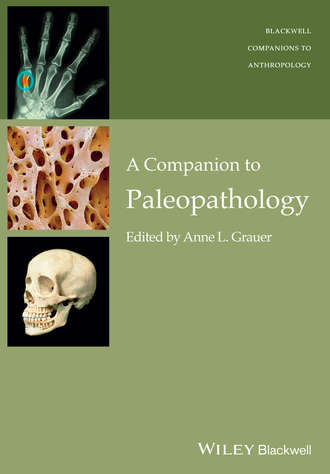 Anne Grauer L.. A Companion to Paleopathology