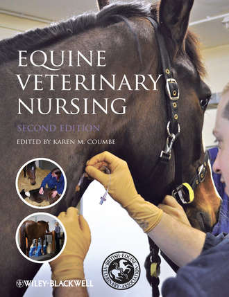 Karen  Coumbe. Equine Veterinary Nursing