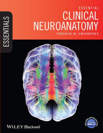 Thomas Champney H.. Essential Clinical Neuroanatomy