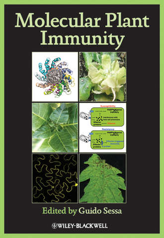 Guido  Sessa. Molecular Plant Immunity