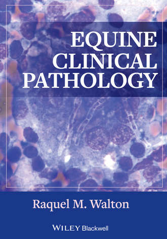 Raquel Walton M.. Equine Clinical Pathology