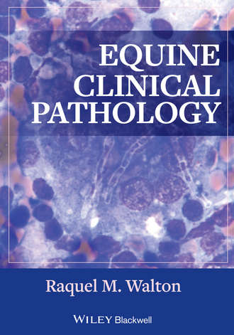 Equine Clinical Pathology. Raquel Walton M.