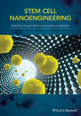 H.  Baharvand. Stem Cell Nanoengineering