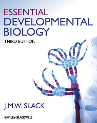 Jonathan M. W. Slack. Essential Developmental Biology