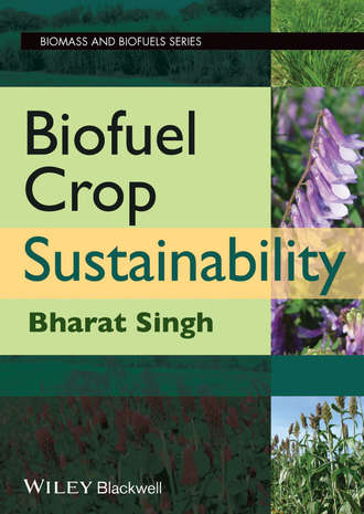 Bharat  Singh. Biofuel Crop Sustainability