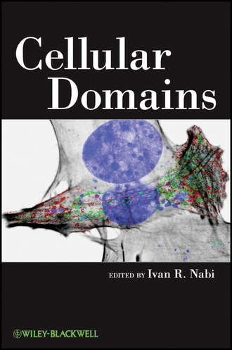 Ivan Nabi R.. Cellular Domains