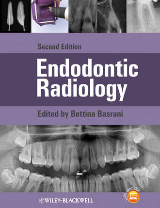 Bettina  Basrani. Endodontic Radiology