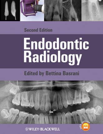 Endodontic Radiology. Bettina  Basrani