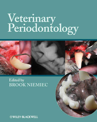 Veterinary Periodontology. Brook  Niemiec