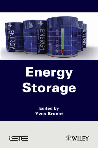 Yves  Brunet. Energy Storage