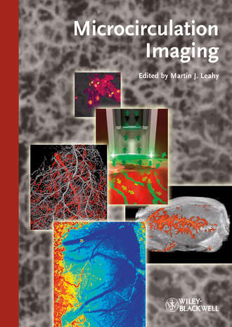 Martin Leahy J.. Microcirculation Imaging