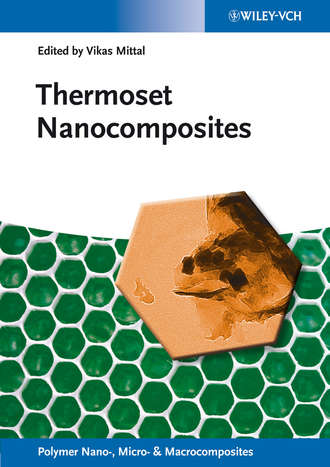 Vikas  Mittal. Thermoset Nanocomposites