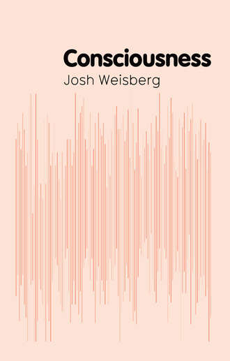Josh  Weisberg. Consciousness