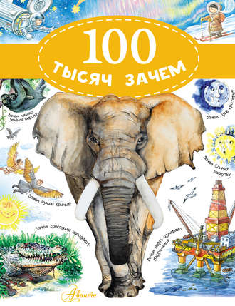 Владимир Малов. 100 тысяч зачем