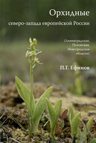 Орхидные северо-запада европейской России. Петр Ефимов