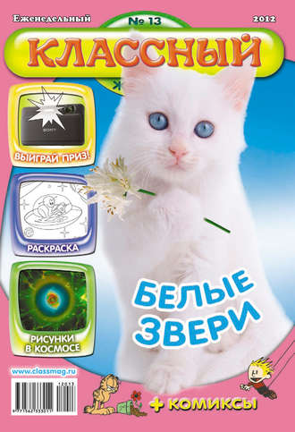 Классный журнал №13/2012. 