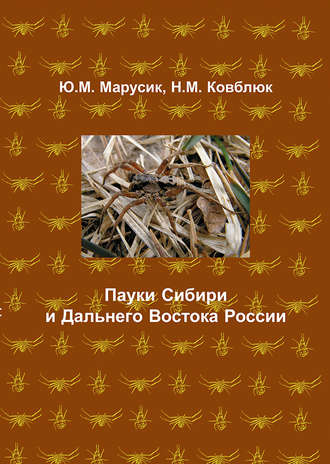 Н. М. Ковблюк. Пауки Сибири и Дальнего Востока России
