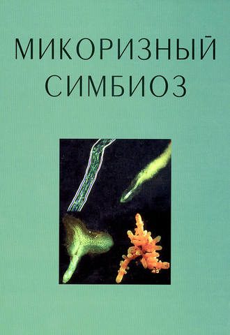 Микоризный симбиоз. Салли Э. Смит