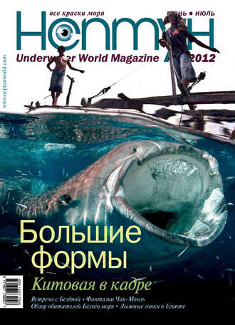 Группа авторов. Нептун №3/2012
