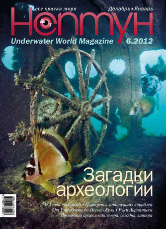 Группа авторов. Нептун №6/2012