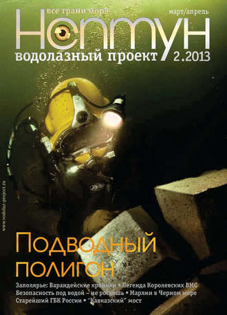 Группа авторов. Нептун №2/2013