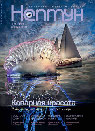 Группа авторов. Нептун №3-4/2015