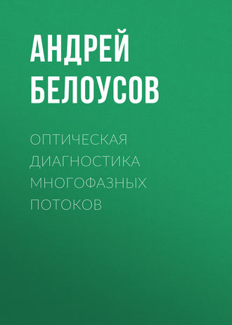Андрей Белоусов. Оптическая диагностика многофазных потоков