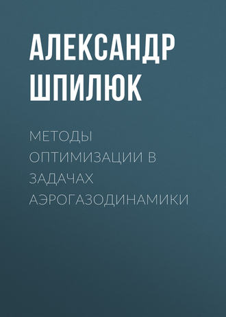 Александр Шпилюк. Методы оптимизации в задачах аэрогазодинамики