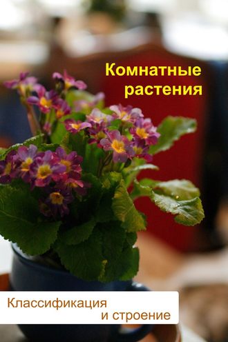 И. В. Мельников. Комнатные растения. Классификация и строение