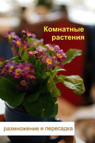 И. В. Мельников. Комнатные растения. Размножение и пересадка