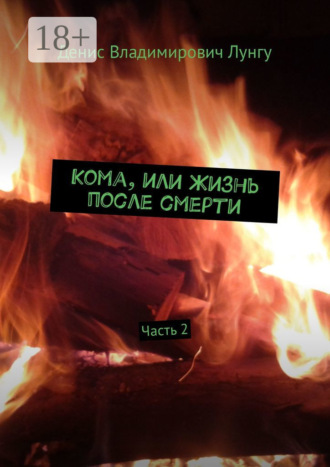 Кома, или Жизнь после смерти. Часть 2. Денис Владимирович Лунгу