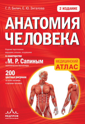 Анатомия человека. 
