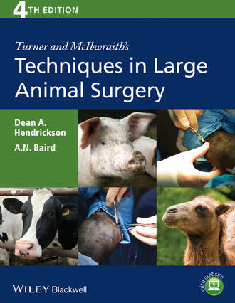 Turner and McIlwraith's Techniques in Large Animal Surgery. Hendrickson Dean A.