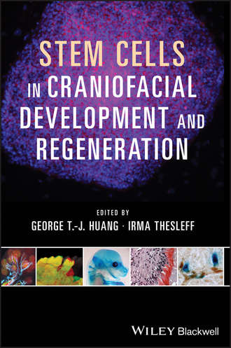 Thesleff Irma. Stem Cells in Craniofacial Development and Regeneration