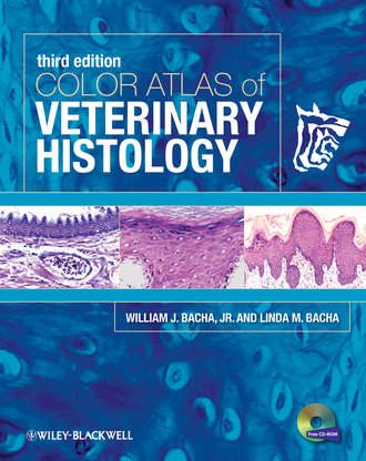 Color Atlas of Veterinary Histology. Bacha Linda M.