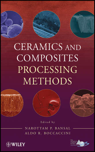 Boccaccini Aldo R.. Ceramics and Composites Processing Methods