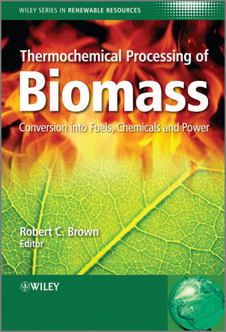 Stevens Christian. Thermochemical Processing of Biomass. Conversion into Fuels, Chemicals and Power