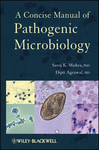 Agrawal Dipti. A Concise Manual of Pathogenic Microbiology