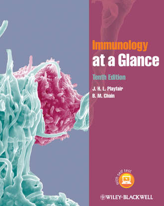 Playfair J. H.L.. Immunology at a Glance